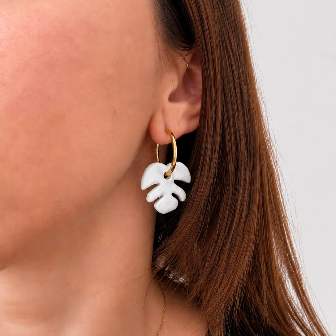 Arracades Filodendre blanques - Imatge 2